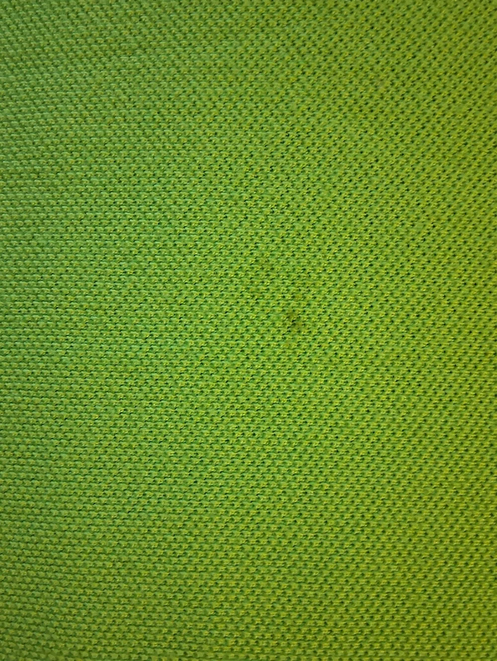 Ralph Lauren Polo Shirt